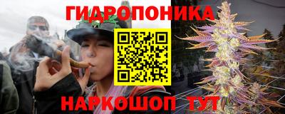 индика Малгобек